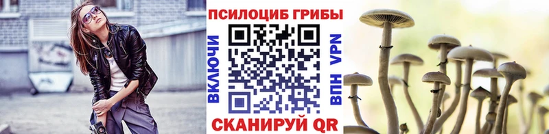 Галлюциногенные грибы Psilocybe кракен зеркало Южа
